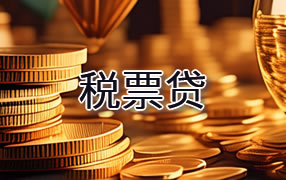 舟山税票贷